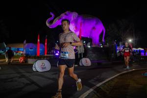 BIB: 
                            <button type="button" onclick="openModal(26552138)" class="btn btn-primary btn-sm float-right btn-popup" data-toggle="modal" data-target=".modal-high-quality">
                        <i class="fas fa-shopping-cart"></i> Add to Cart
                    </button>
                                            <button type="button" onclick="isThisMe(26552138, true)" class="btn btn-success btn-sm float-right btn-popup btn-isme hidden" data-toggle="tooltip" data-placement="bottom" title="นี่คือรูปของคุณใช่ไหม คลิกที่นี่เพื่อเอาเข้าอัลบั้ม">
                        <i class="fas fa-plus"></i> Add to album
                    </button>
                    <button type="button" onclick="isThisMe(26552138, false)" class="btn btn-warning btn-sm float-right btn-popup btn-isnotme hidden">
                        <i class="fas fa-ban"></i> Remove from album
                    </button>